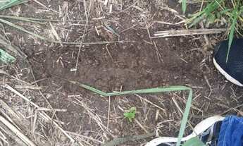 Imagem 12: Vende-se Fazenda com 80 Hectares, na região do olho d'água, com rio taquaral nos fund