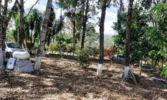 Imagem 5: Chácara 2000 m² Miranda l