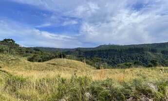 Imagem 3: Sítio de Cinema! Com lindo rio, pasto e pronto para construir!