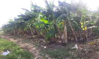 Imagem 5: Fazenda Fazenda / sítio com venda por R$600.000