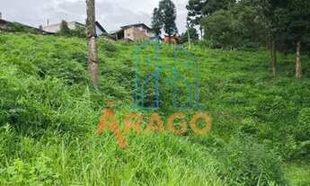 Imagem 4: Terreno Amplo, Brasília, São Bento Do Sul - TE26