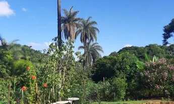 Imagem 2: Fazenda/Sítio/Chácara para venda possui 20000 metros quadrados com 3 quartos