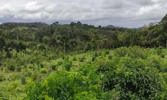 Imagem 5: Terreno em campo alegre