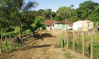 Imagem 6: Sítio de 470.000 m²