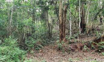 Imagem 6: Terreno com 501m² no Condomínio São Paulo II