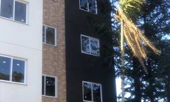 Imagem 7: Apartamento em excelente localização no bairro Floresta, com 1 suíte, 1 dormitório e 1 vag