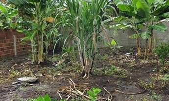 Imagem 3: Mini granja em lagoa seca