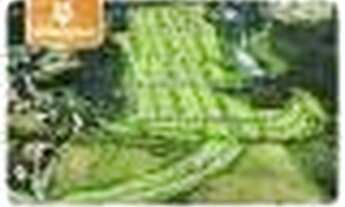 Imagem 6: Terreno à venda, 560 m² por R$ 360.000,00 - Condomínio Santa Isabel I - Louveira/SP