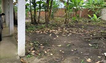 Imagem 5: Mini granja em lagoa seca