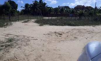 Imagem 3: Vendo granja no pq industrial de macaiba