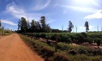 Imagem 5: Chacaras de 2000 a 3000 metros !!