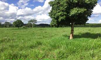 Imagem 2: MIRASSOL - RURAL - RURAL