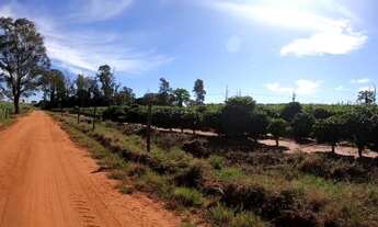 Imagem 3: Chacaras de 2000 a 3000 metros !!