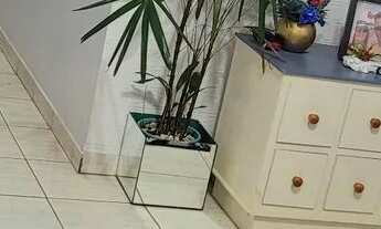 Imagem 3: Apartamento 3/4 Parque Oeste industrial