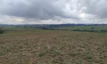 Imagem 3: Fazenda 75 alqueires região de Cassia dos Coqueiros - Don