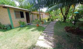 Imagem: Chacara na regiao de pipa