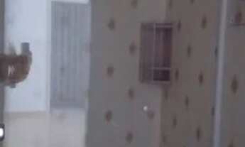 Imagem 7: Apto 02 dormitório bairro são geraldo