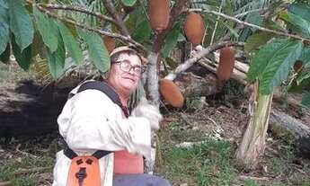 Imagem 4: Sítio em Presidente Figueiredo