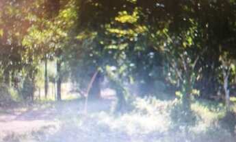 Imagem: Vendo Terreno em Ubatuba 50 mts mar praia