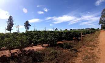 Imagem 7: Chacaras de 2000 a 3000 metros !!