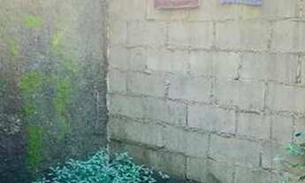 Imagem 7: Casa para aluguel Condomínio em Piabetá