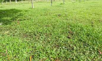 Imagem 3: LL- Vendo lote ao lado do centro barato