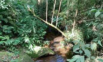 Imagem 3: Lote 1000m² c/ acesso a riacho