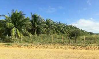 Imagem 6: Fazenda Fazenda / sítio com venda por R$600.000