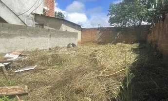 Imagem 5: Vendo três lotes por 38 mim