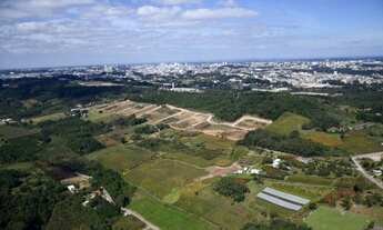 Imagem 4: CAXIAS DO SUL - Terreno Padrão - MONTE BÉRICO
