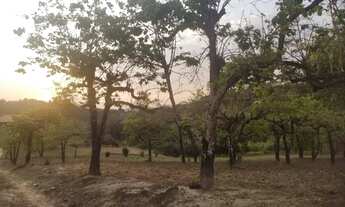 Imagem 4: C- Vendo terreno 500m2