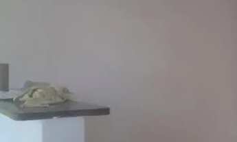 Imagem 5: Alugo casa Casa com 2 dormitórios