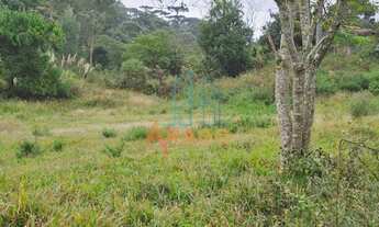 Imagem 2: Terreno para venda, Serra Alta, São Bento Do Sul - TE69