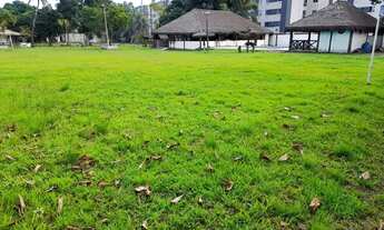 Imagem 4: Terreno// sítio