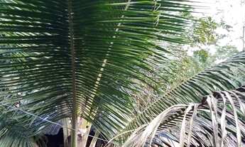 Imagem 6: Casa Casa com 3 dormitórios