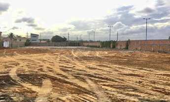 Imagem 4: Vendo / Alugo terreno 6.160m2 plano regular