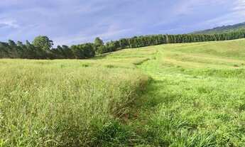 Imagem 3: Lote/Terreno para venda tem 500 metros quadrados em Centro (Caucaia do Alto) - Cotia - SP