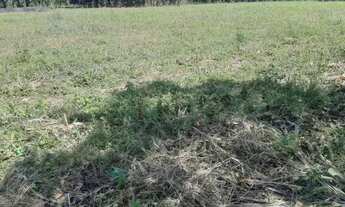 Imagem 5: Chácara de 3 Mil Metros na Rajadinha 1 - Toda Plana - Planaltina DF