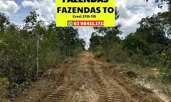 Imagem: Fazenda a venda Lagoa do Tocantins 118 alqueires