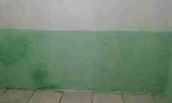 Imagem 4: Aluga-Se uma casa