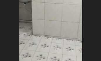 Imagem 2: Aluga kitnet Casa com 1 dormitório