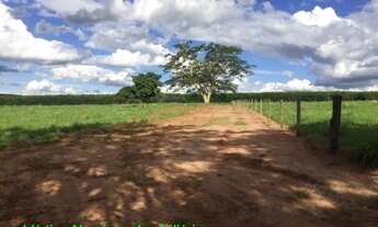 Imagem 5: MIRASSOL - RURAL - RURAL