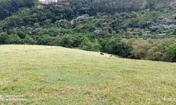 Imagem 3: **Oportunidade Imperdível em Joanópolis***Glebas Rurais com 20.000m² Documentadas**