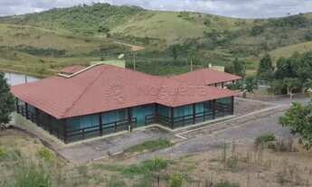 Imagem 6: Fazenda dos Sonhos em Vitoria de Santo Antão - 265 Hectares de Oportunidades Incríveis!