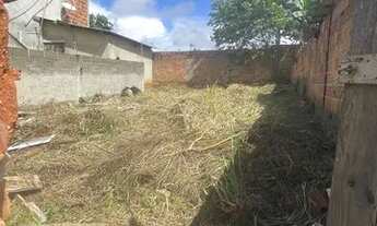 Imagem 3: Vendo três lotes por 38 mim