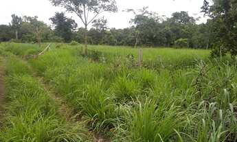 Imagem 11: Vende-se Fazenda com 80 Hectares, na região do olho d'água, com rio taquaral nos fund