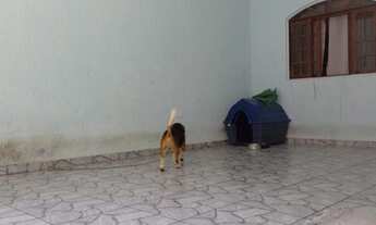 Imagem 7: Casa / Sobrado para Venda em São Paulo, Jardim da Conquista (Zona Leste), 4 dormitórios, 4