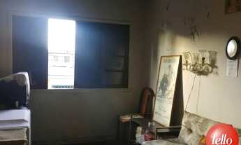 Imagem 7: São Paulo - Casa Padrão - Tatuapé