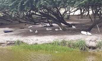 Imagem 3: Condominio Fazenda Real 3