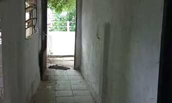 Imagem 7: Aluga-Se uma casa